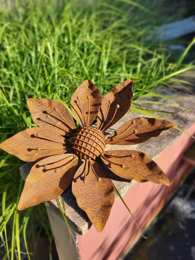 Edelrost Blume Sonnenbraut