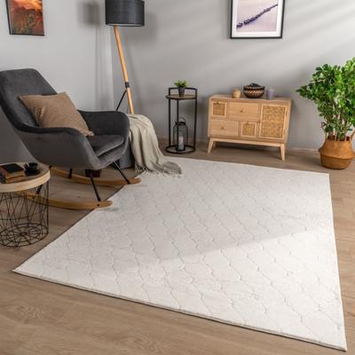 Paco Home Soft Washable Area Rug with Diamond High-Low Effect