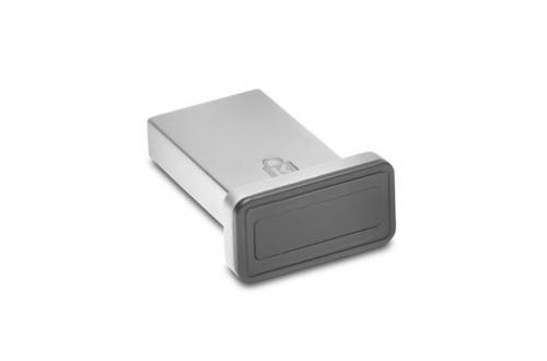 Kensington Fingerabdruckscanner VeriMark IT Fingerprint Key USB-A Schwarz, Silber K64704EU