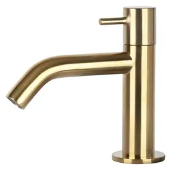 Differnz, Duscharmatur + Badewannenarmatur, Wastafelkraan Gebogen Kraan Koud Water Toiletkraan Mat Goud
