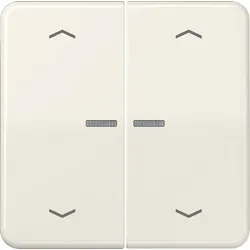 Jung Wippe Symbole/Lichtl.ws CD 595 KO5MP