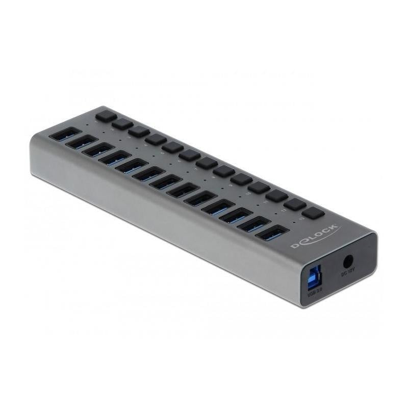 Delock Externe SuperSpeed USB-hub met 13 poorten en schakelaar