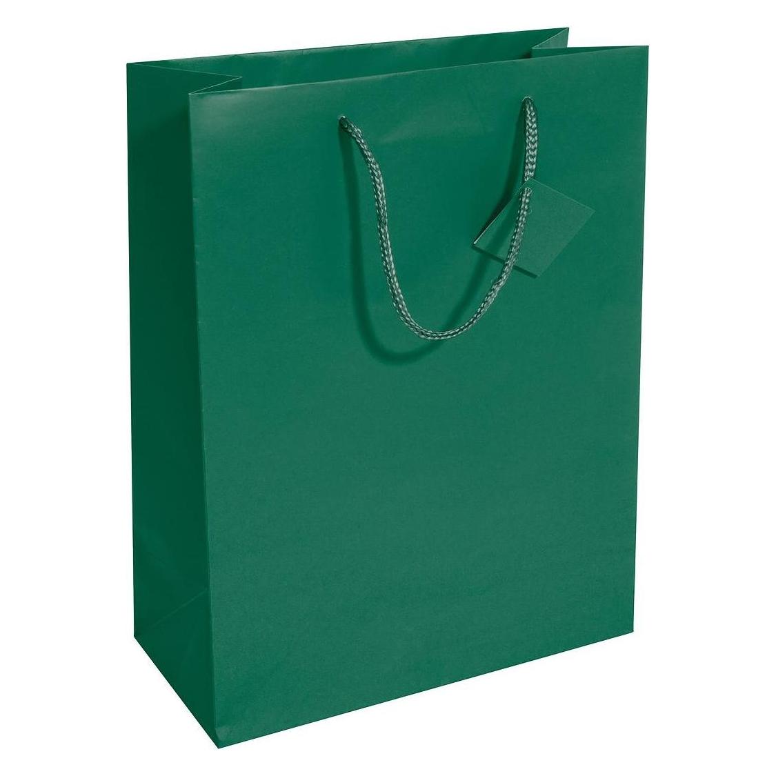 Sigel 5 Geschenktaschen grün 26,0 x 33,0 cm (5x) (GT500)