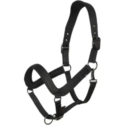 HV Polo, Halfter
