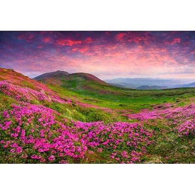 Papermoon "Rhododendron Blumen"