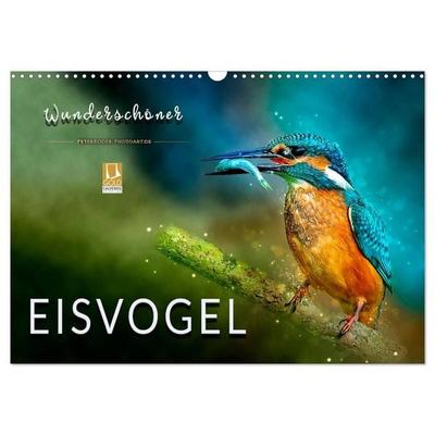 Wunderschöner Eisvogel (Wandkalender 2027 DIN A3 quer), CALVENDO Monatskalender