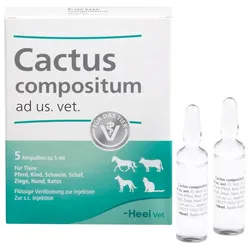Cactus Comp Vet