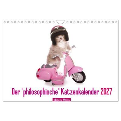 Der 'philosophische' Katzenkalender 2027 (Wandkalender 2027 DIN A4 quer), CALVENDO Monatskalender