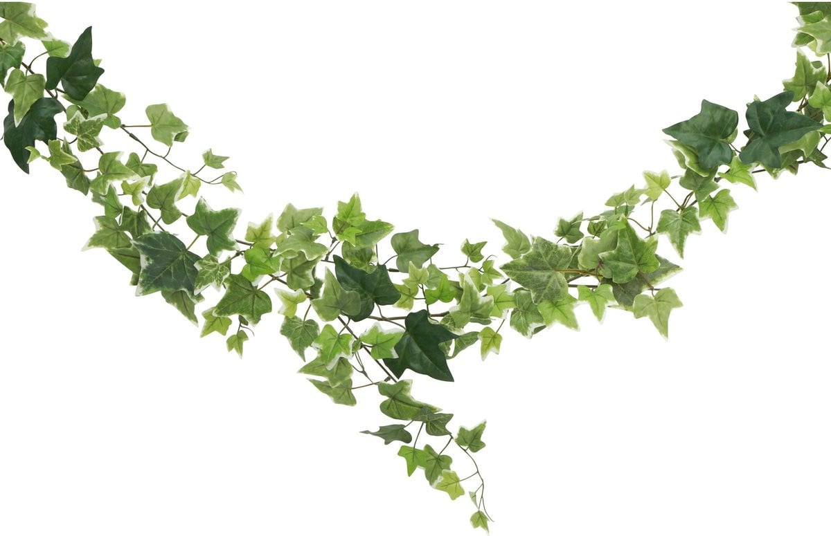 Chaks Kunstplant Hangplant Klimop Hedera - Groen - Lengte: 180 cm