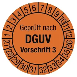 Moedel, Sicherheitskennzeichnung, Mehrjahresprüfplakette
