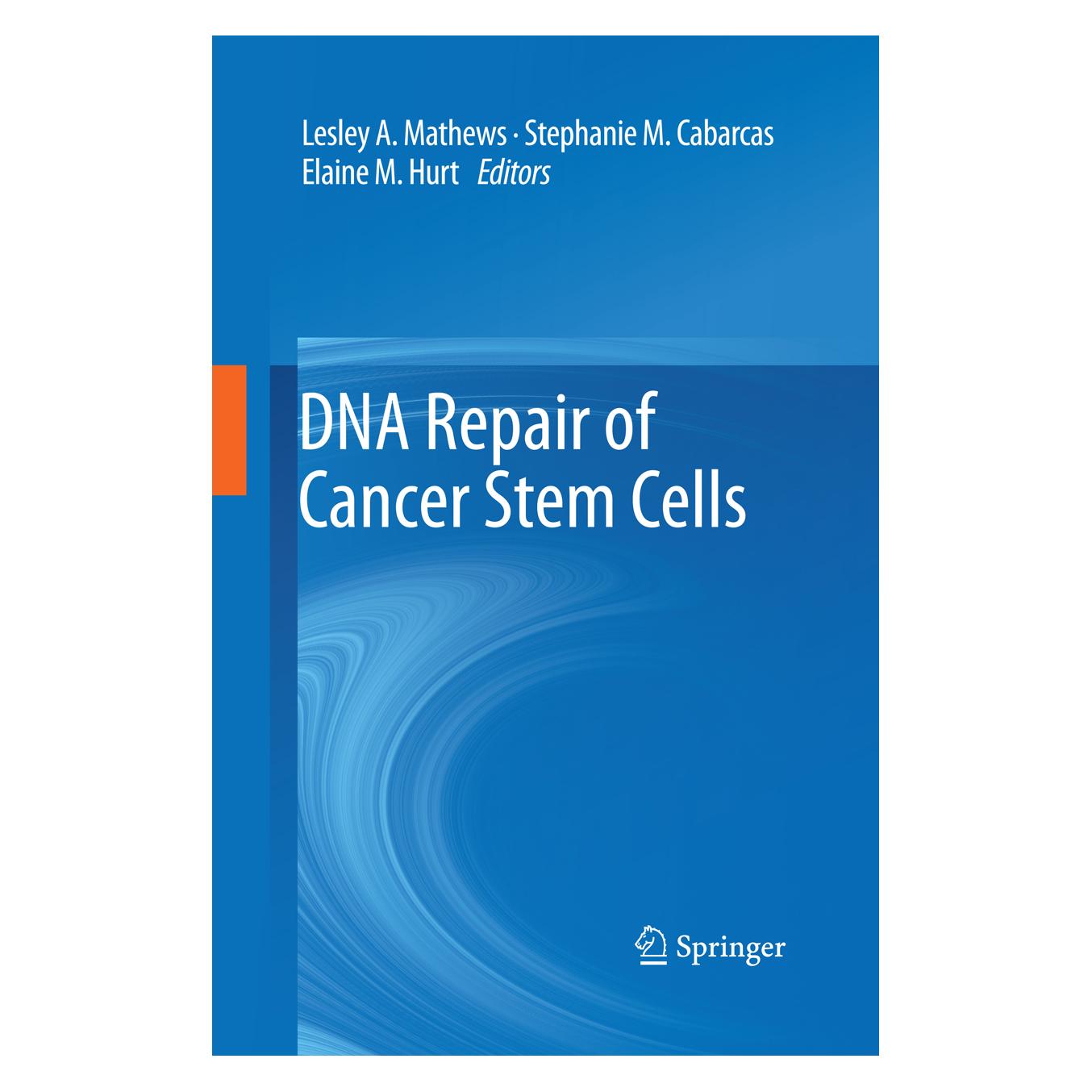 Springer DNA Repair of Cancer Stem Cells (Englisch, Hardcover, Elaine M Hurt, Lesley A Mathews, Stephanie M Cabarcas) (9789400745896)