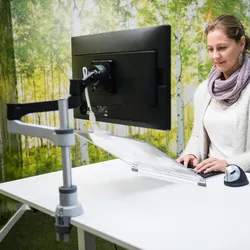 R-Go Tools R-Go Morelia Dokumentenhalter, Modul mit Caparo und Zepher Monitorarm