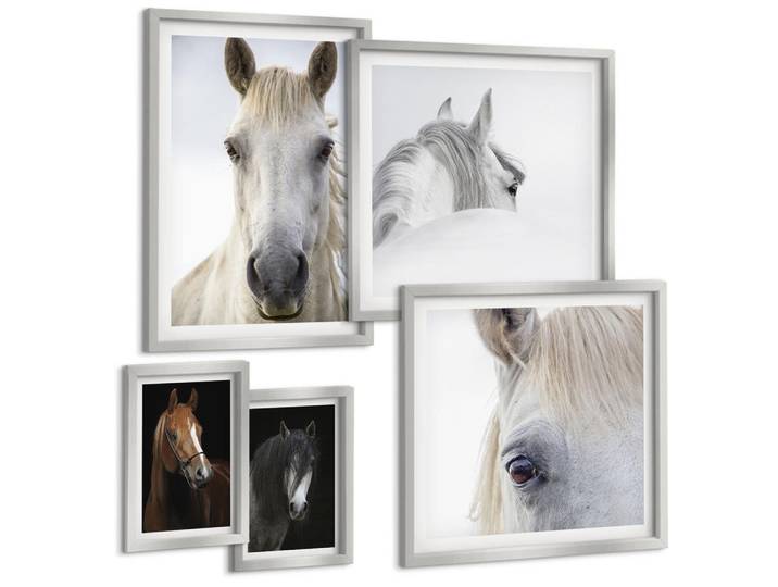 Tulup Bilder SET 5er Set - 50x50 cm & 20x30 cm & 40x60 cm Silberner Rahmen - Pferdeporträts in Schattierungen, Silberfarben, Kunststoff, Rechteckig, 40x60 cm, Fotografie, Bilder & Rahmen, Bilder