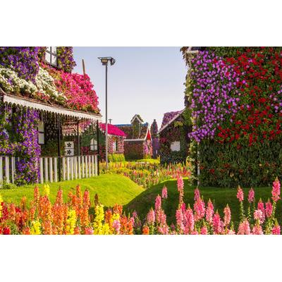 Papermoon "BLUMENSTRAßE-WUNDERGARTEN PARK DUBAI HÄUSER PFLANZ"