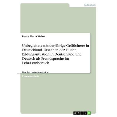 Unbegleitete minderjährige Geflüchtete in Deutschland. Ursachen der Flucht, Bildungssituation in Deutschland und Deutsch als Fremdsprache im