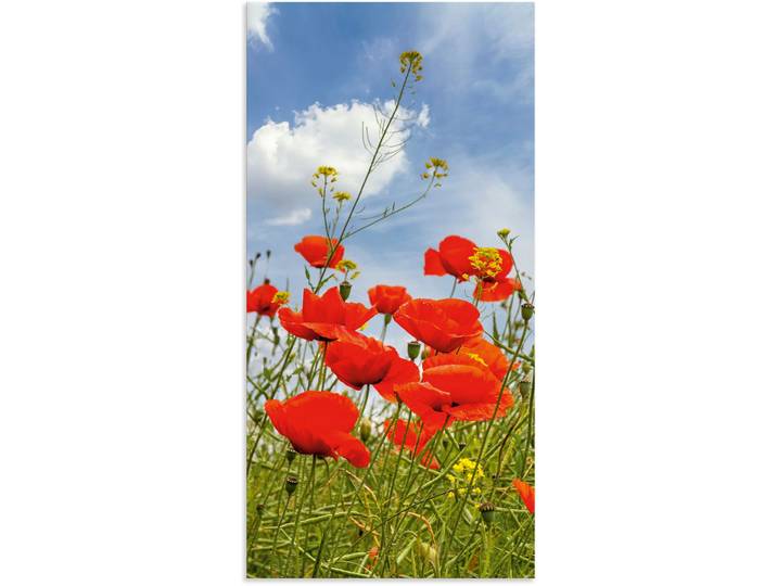 Alu-Dibond-Druck ARTLAND Mohnblumen im Panorama , rot (farbe bild(er): rot), B:30cm H:60cm, Bilder, Alu-Dibond-Druck, für Innen- und Aussenbereich geeignet, Outdoorbild