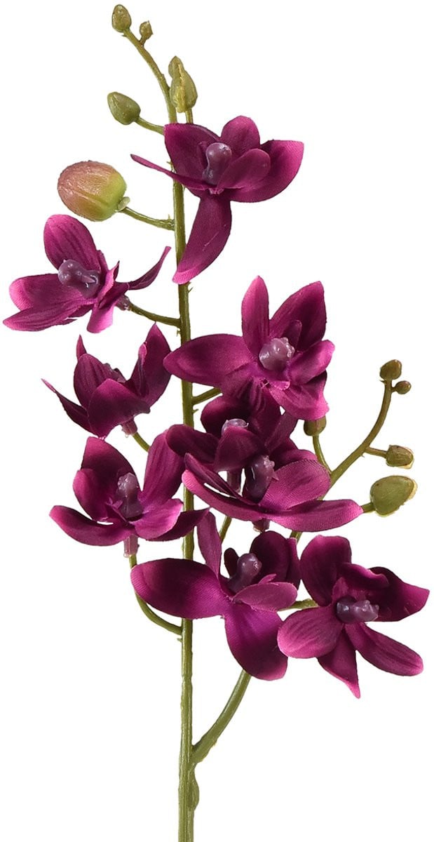 Kleine Phalaenopsis kunstorchidee donkerpaars 30 cm