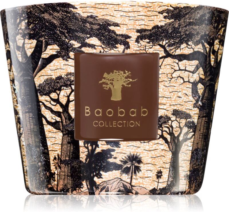Baobab Collection Sacred Trees Mankono scented candle 500 g