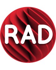 Embarcadero RAD Studio Athens 12.x Professional 1 Concurrent User inkl. 1 Jahr Maintenance Download Win/Mac/Android/iOS, Multilingual (BDB000MLETWB0)