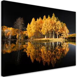 WANDBILD waldbäume herbstgold