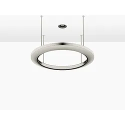 Dornbracht AQUAHALO Regenpaneel, 41750979-06, Farbe: Platin gebürstet