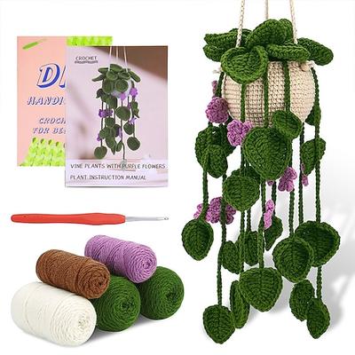 Häkelset für Anfänger Häkelsatz Anfänger Häkelsatz für komplette Anfänger Erwachsene Häkeln Strickset mit Schritt-für-Schritt Video-Tutorials Valentinstag Geschenk