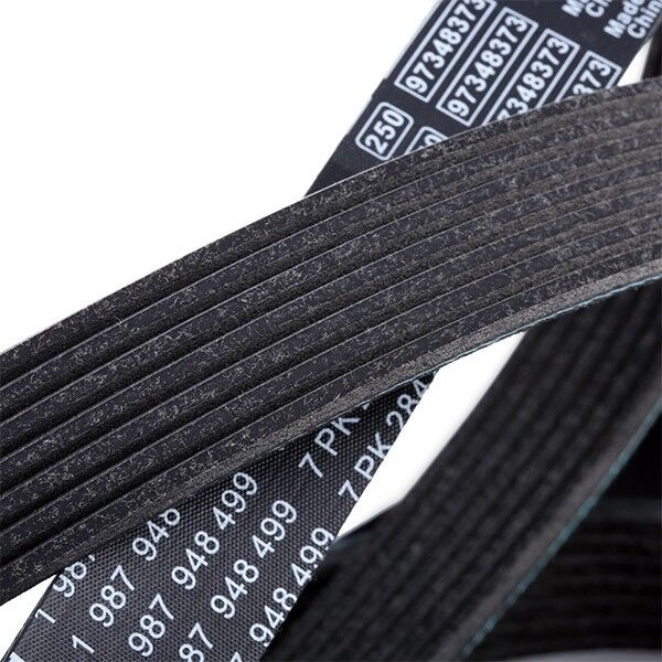 Bosch 1 987 948 499 Serpentine belt