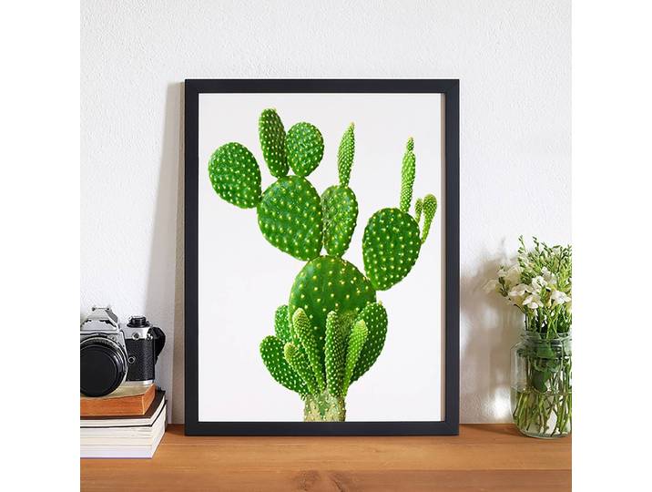 Tableau déco Cactus Cadre : hêtre massif verni Revêtement : plexiglas Multicolore 32 x 42cm