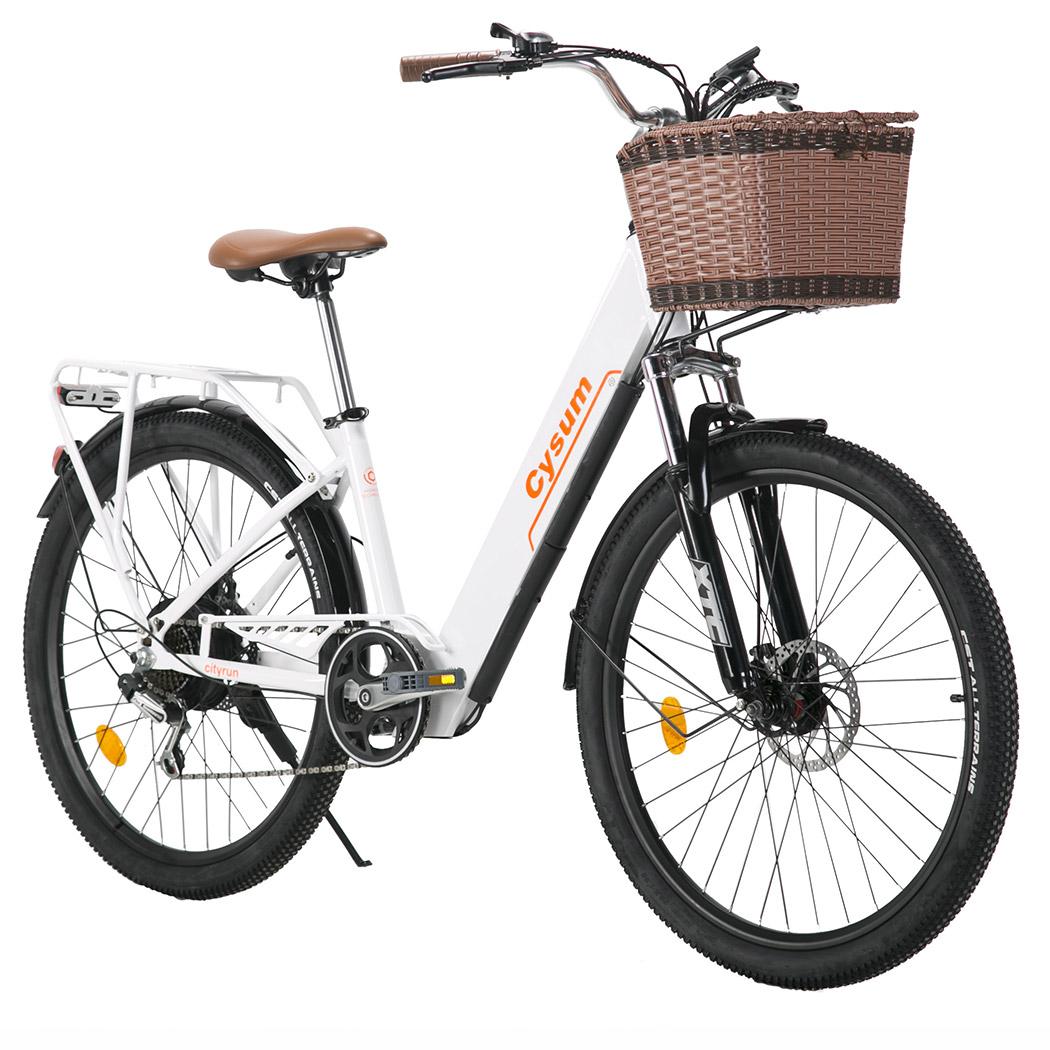 Cityrun Elektrofahrrad, Tiefeinsteigerrahmen, 36V, 250W, 25 km/h, SHIMANO 7-Gang,150kg