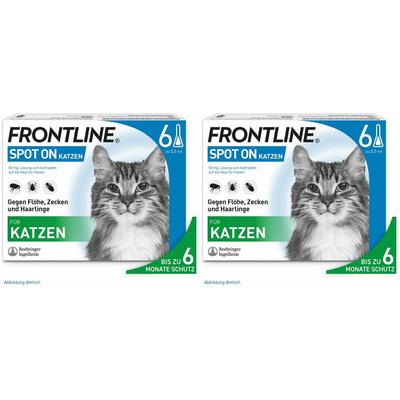 Frontline Spot on K Lösung f.Katzen Doppelpack 2x6 St Einzeldosispipetten