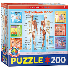 eurographics Puzzle - Der menschliche Körper 200 Teile 301222