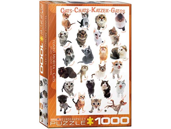 Eurographics Katten Puzzel (1000 stuks)