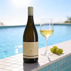 Cavalli Wine Estate 2024 Cavalli Cremello White Blend 2024 Chardonnay,Chenin Blanc,Verdello,Viognier Südafrika