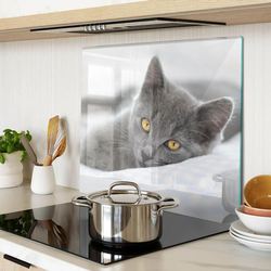 GLASPLATTE 60x52 cm Graue Katze