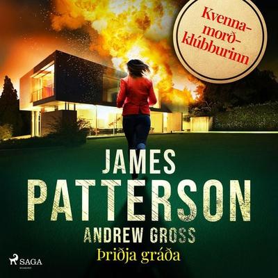 Þriðja gráða - James Patterson,Andrew Gross, Audio, 9788728542095