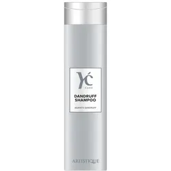 250ml Artistique You Care Dandruff Shampoo