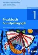 Katrin Zimmermann-Kogel - Praxisbuch Sozialpädagogik - Band 1. Arbeitsmaterialien und Methoden - Preis vom 12.10.2026 11:37:12 h