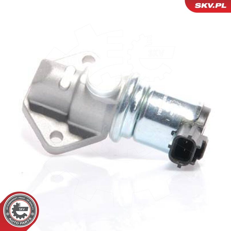 Esen Skv Leerlaufregelventil, Luftversorgung 08skv231 Für Standard Automobile Ford