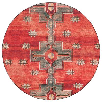 SAFAVIEH Tucson Bhagvati Transitional Machine Washable Rug