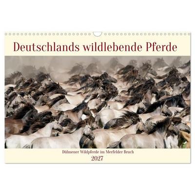 Deutschlands wildlebende Pferde (Wandkalender 2027 DIN A3 quer), CALVENDO Monatskalender