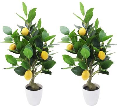 YUN "Set of 2 20"" Artificial Lemon Trees in Pots - Green"