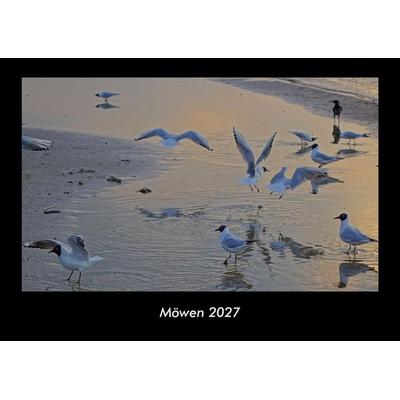 Möwen 2027 Fotokalender DIN A3