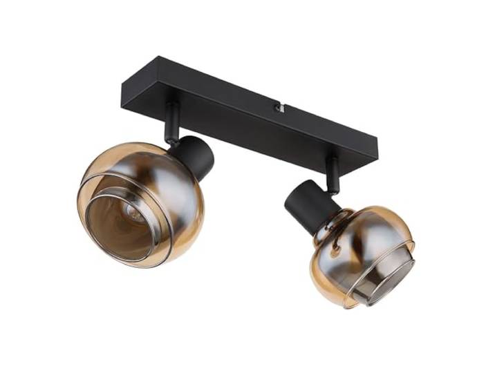 Deckenleuchte Deckenlampe 2-Flammig Wohnzimmerleuchte Spots beweglich Schwarz