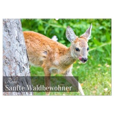 Rehe - Sanfte Waldbewohner (Wandkalender 2027 DIN A2 quer), CALVENDO Monatskalender