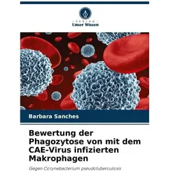 Bewertung der Phagozytose von mit dem CAE-Virus infizierten Makrophagen, Fachbücher von Barbara Sanches