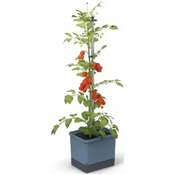 Gusta Garden, Blumentopf, Tom Tomato (35 x 28 x 13.60 cm)