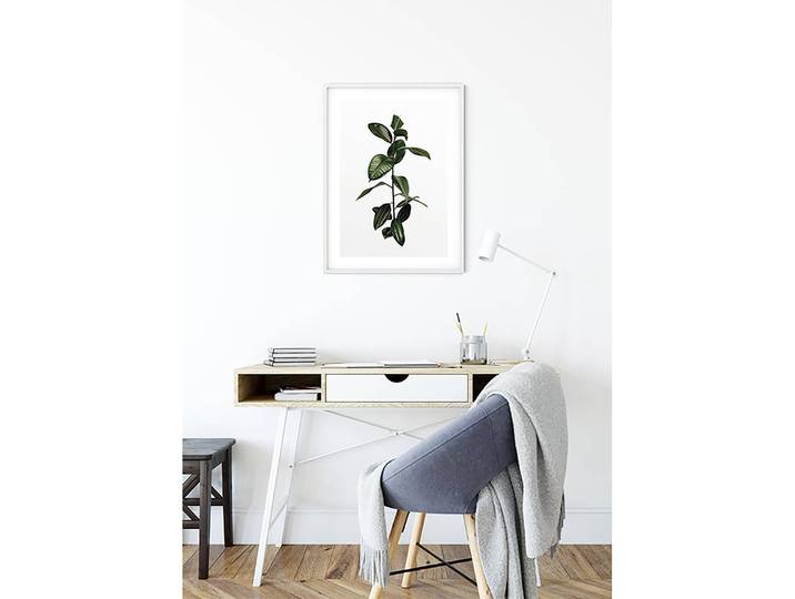Wandbild Ficus Branch Fotopapier mit seidenmatter Oberfläche und hoher Lichtbeständigkeit Multicolor 50 x 70 x 0cm