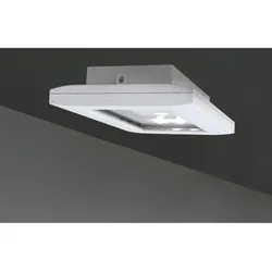RP-Technik Sicherheitsleuchte FMDS029