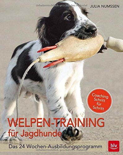 Julia Numßen - Welpen-Training für Jagdhunde: Das 24-Wochen Ausbildungsprogramm - Preis vom 09.10.2026 07:28:09 h