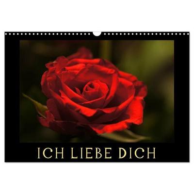 Ich liebe Dich (Wandkalender 2026 DIN A3 quer), CALVENDO Monatskalender